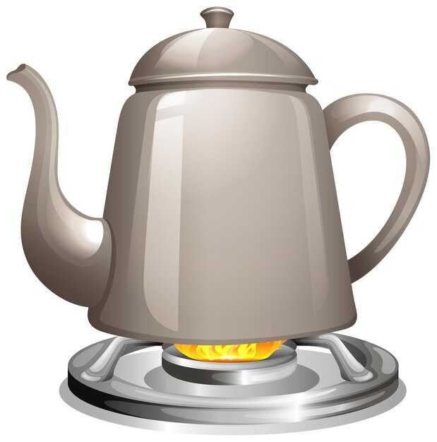 На что обратить внимание при выборе большого чайника