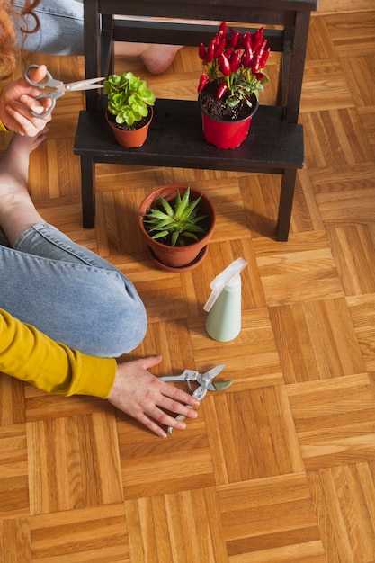 Оценка экологичности и безопасности выбранного средства