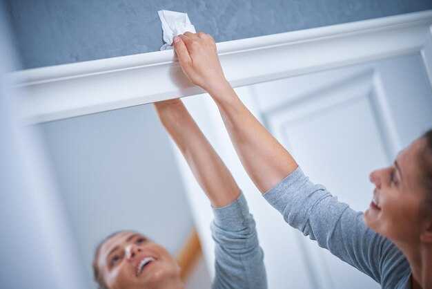 Использование парогенератора для чистки