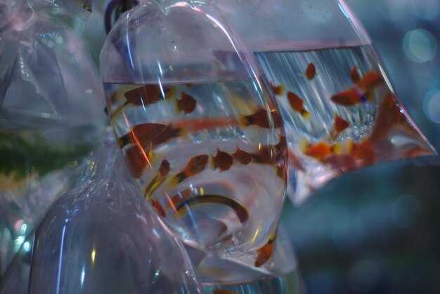 Основы гидрофобных свойств материалов