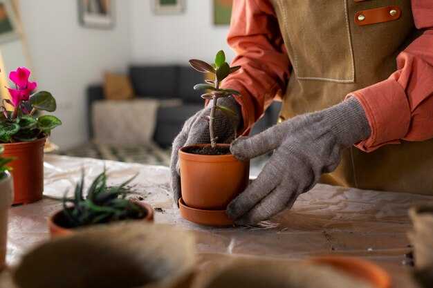 Использование краски и лакокрасочных материалов