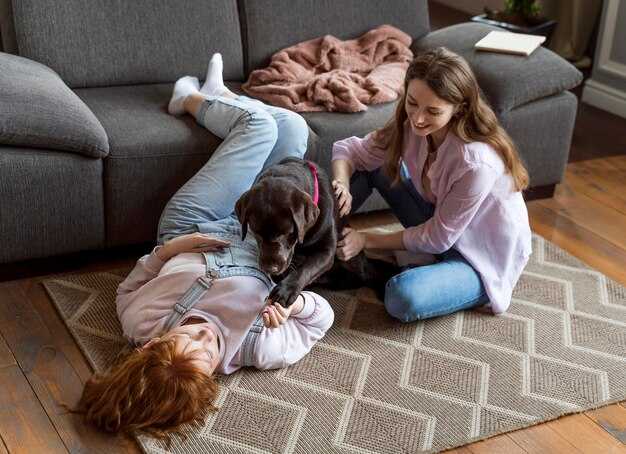 Текстура и плотность: как они влияют на комфорт