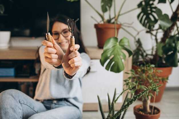 Правила размещения и использования ламп для оптимального освещения