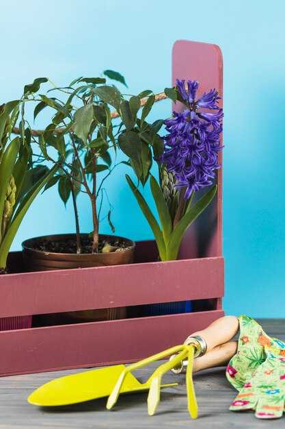 Частота и длительность использования освещения