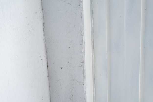 Когда обращаться к специалистам по удалению плесени