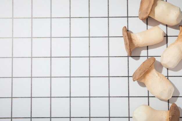 Подготовка основания: ключевые шаги перед укладкой